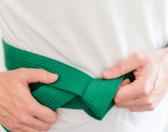LSS Louisiana -Lean Six Sigma Green Belt LSS Louisiana -Lean Six Sigma Green Belt