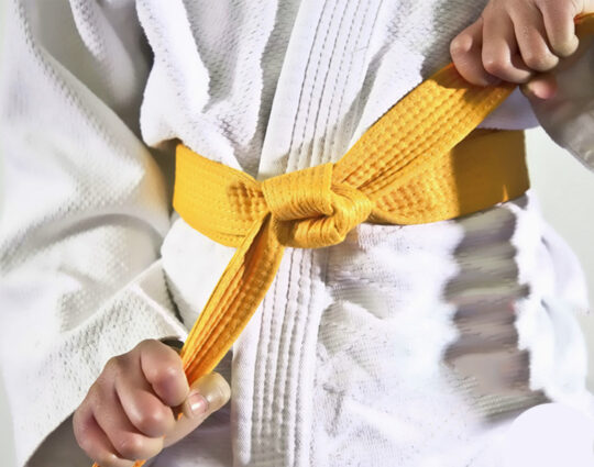 LSS Louisiana -Lean Six Sigma Yellow Belt LSS Louisiana -Lean Six Sigma Yellow Belt